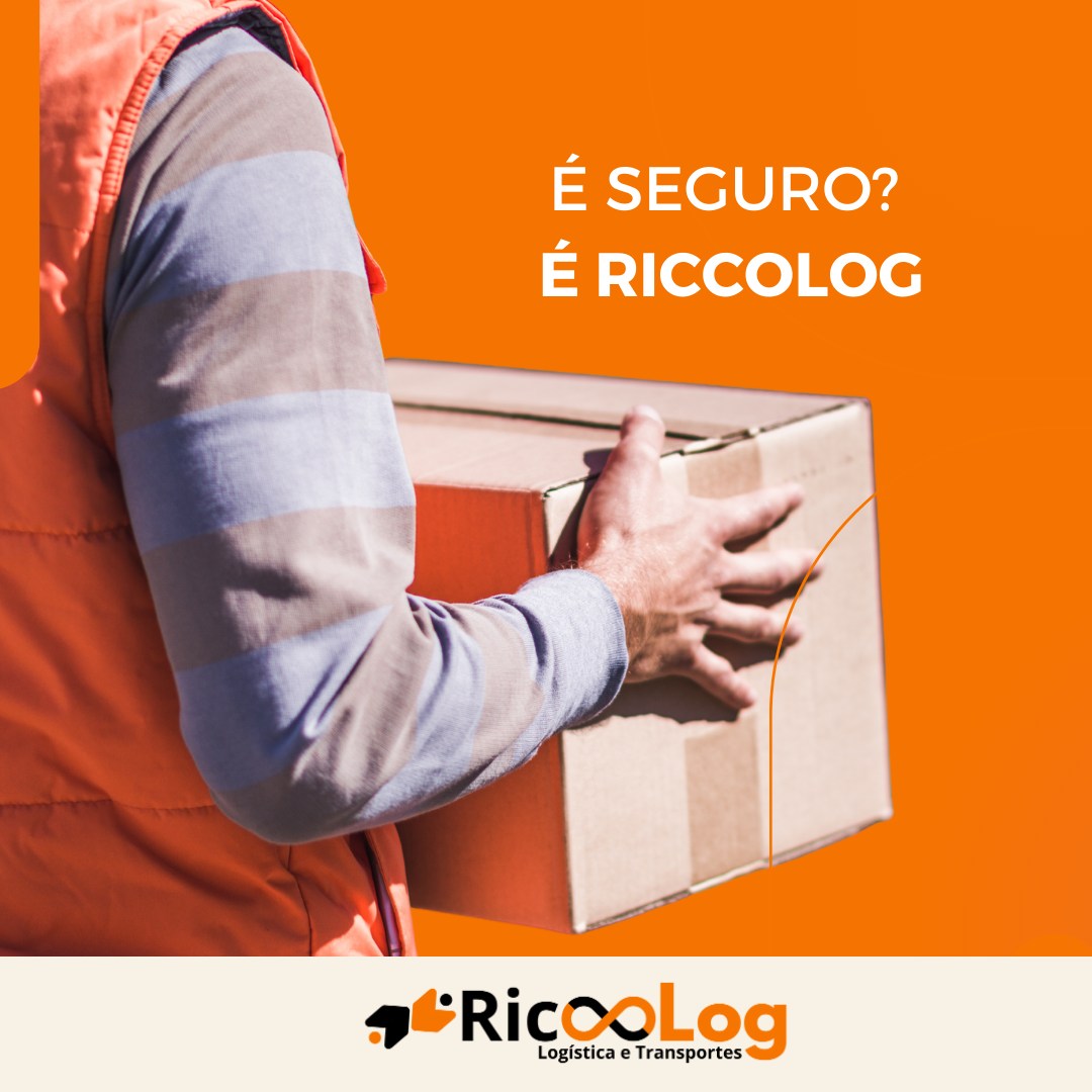 Segurança em Primeiro Lugar: É Seguro, É RicooLog