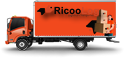 Caminhão RicooLog